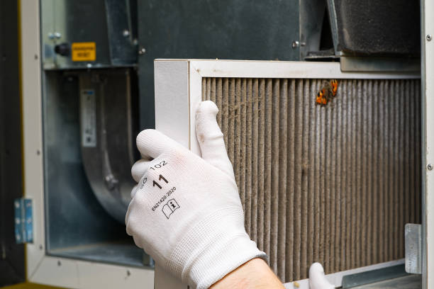 Best Emergency Air Duct Cleaning  in Bridgeport, WV