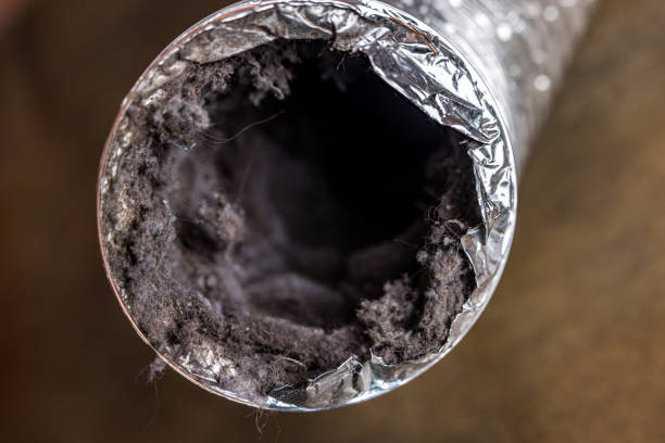 Best Affordable Duct Cleaning Services  in Bridgeport, WV