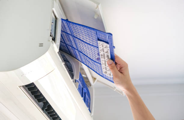 Air Duct Mold Removal in Bridgeport, WV