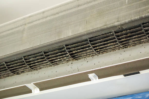 Best Home Air Vent Cleaning  in Bridgeport, WV